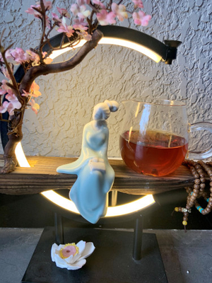 Dahongpao Tea sperimentare la magia del Feibai Anji tè bianco piccolo tè vaso da Fujian
