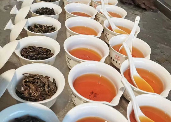 Tè Oolong caldo o freddo con profumo floreale per suggerimenti