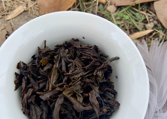 Temperatura di preparazione di 100°C rivela l'essenza fruttata del tè Pu Erh invecchiato