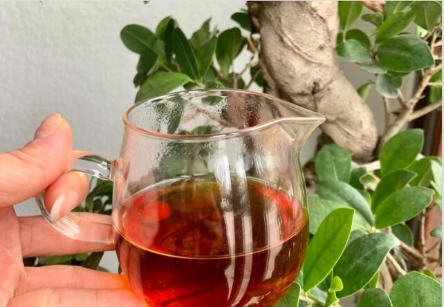 Tylin è stato sviluppato da incrocio da Tea Research Institute of Fujian Academy of Agricultural Sciences con tiegua