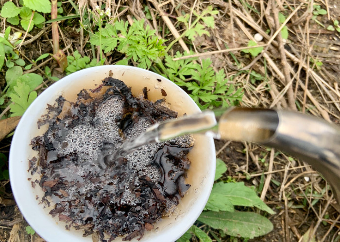 Ispirazioni floreali rivitalizzate in tazze di tè a ossa con 3-5 minuti di preparazione